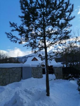 Domek Zakopianska Chata Zakopane Exteriör bild